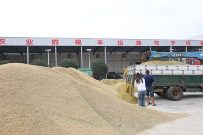 湖南省全面啟動早稻收購，推廣預約收購新模式