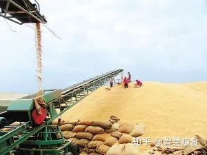 鄉村私人糧食收購站 糧食流向與盈利模式探析